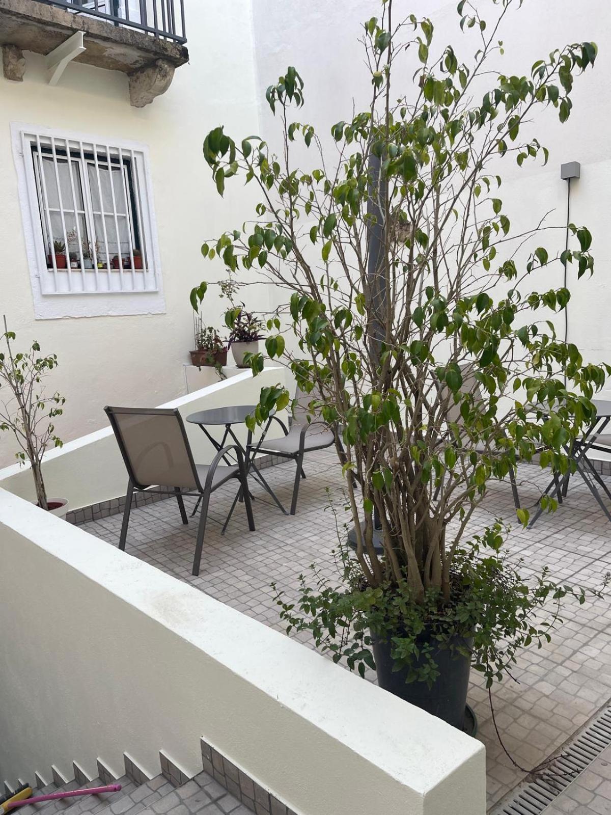 Apartment Baixa - *
